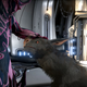 Illustration for article titled Warframe Guilts Me Into Playing By Making My Dog Hate Me, And I Don't Love It
